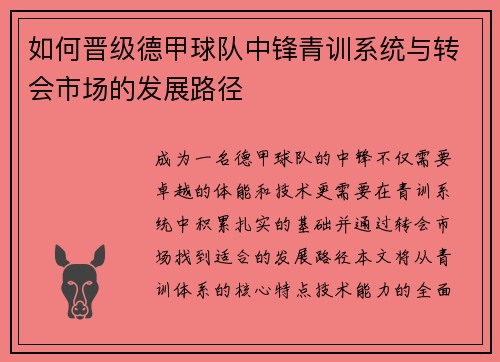 如何晋级德甲球队中锋青训系统与转会市场的发展路径